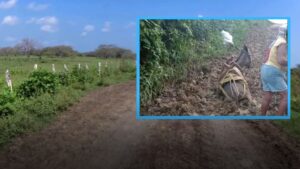 En municipio de Zapayán ni los burros pueden atravesar las vías de acceso